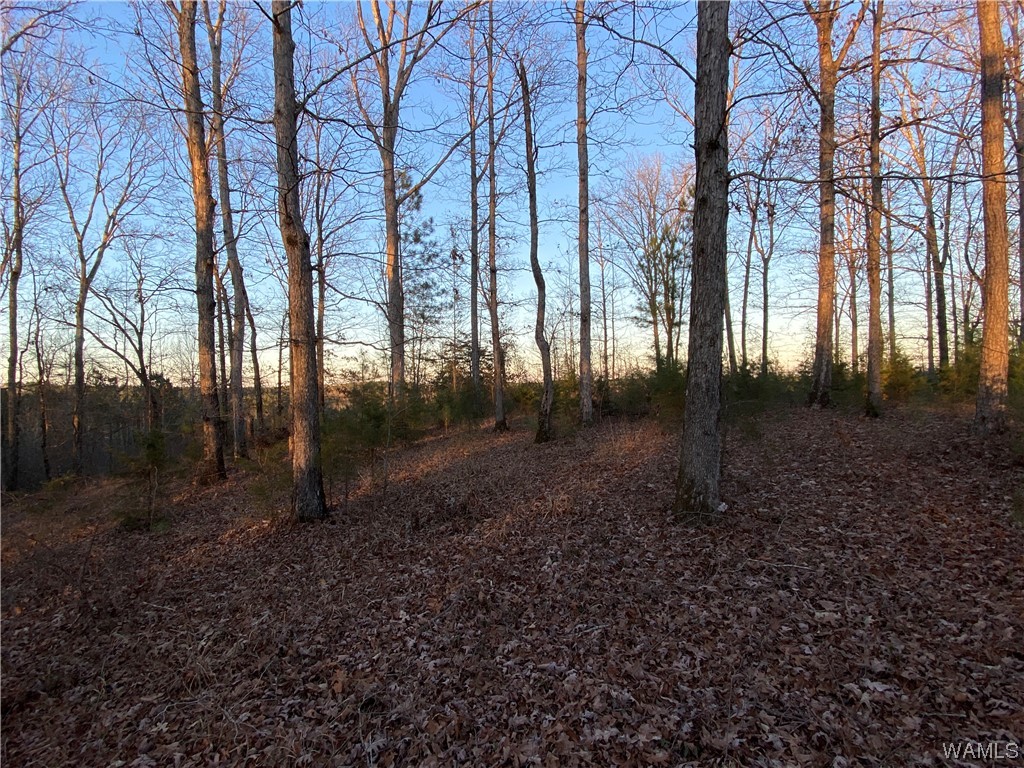 3 Harless Road