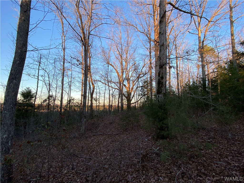 3 Harless Road