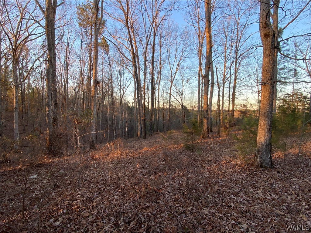 3 Harless Road