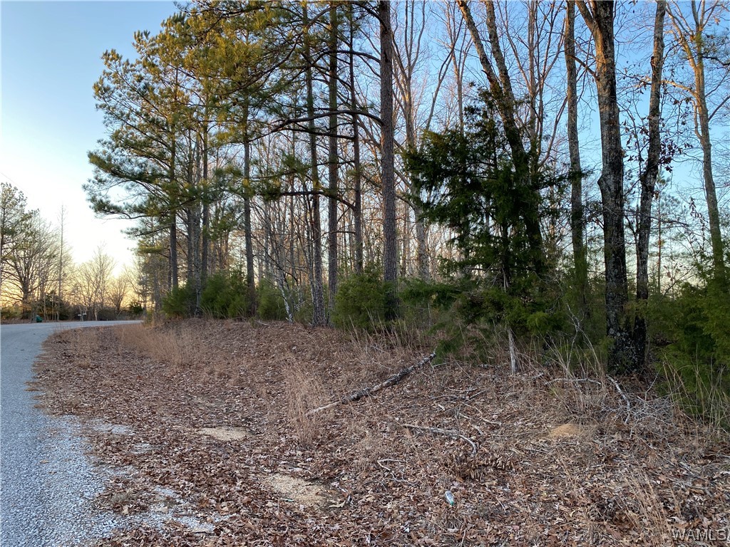 3 Harless Road