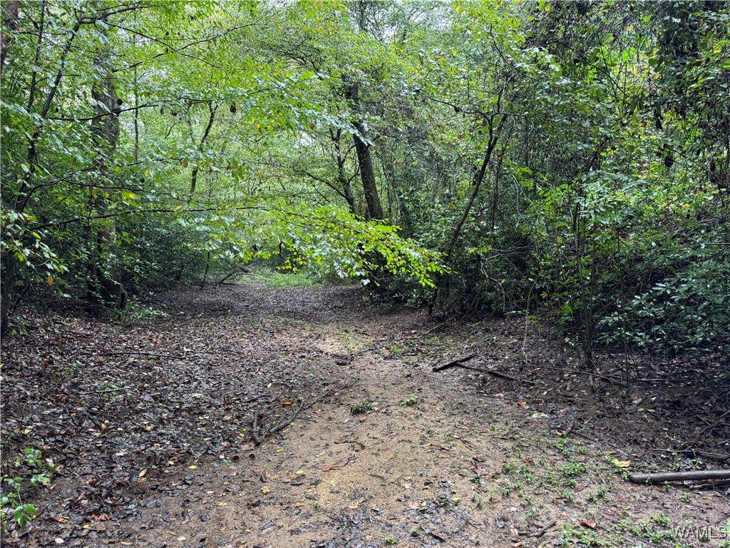 0 Scruggs Lane