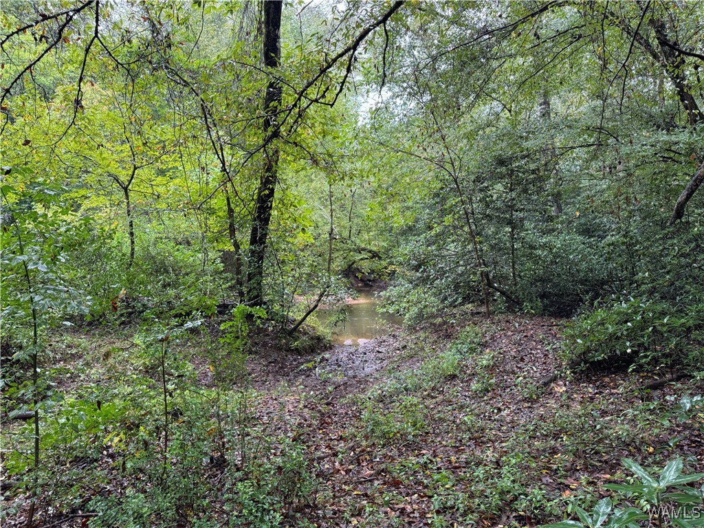 0 Scruggs Lane