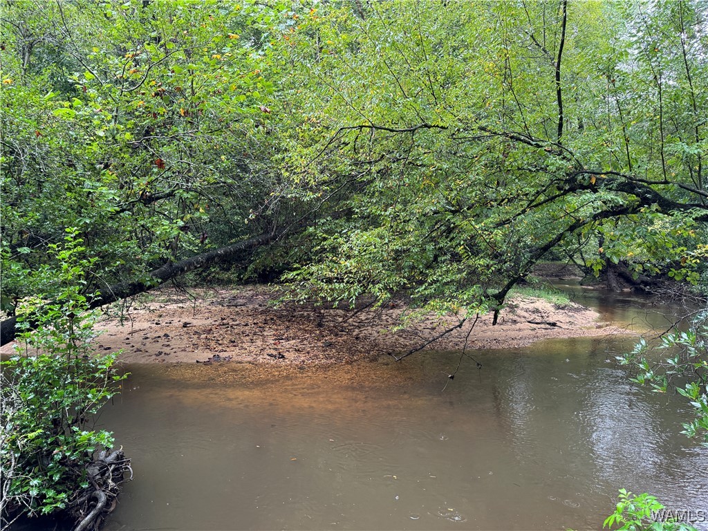 0 Scruggs Lane