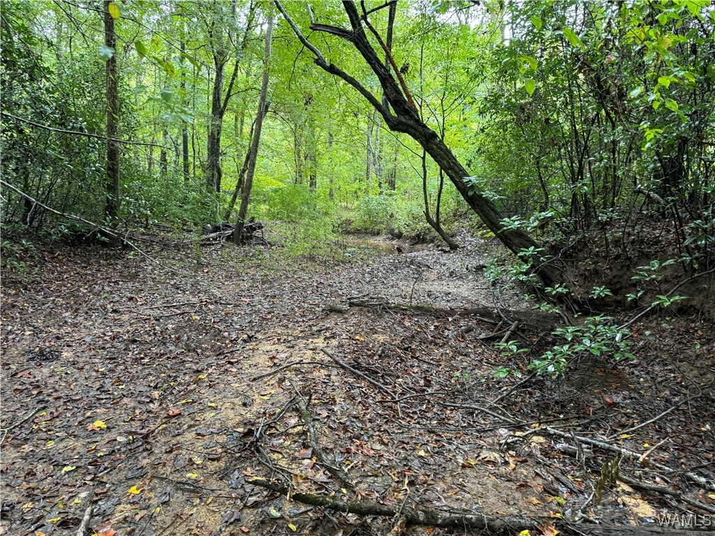 0 Scruggs Lane