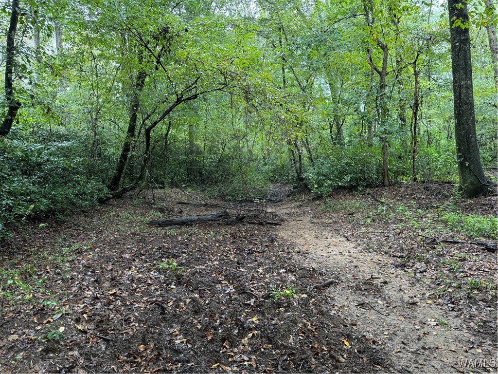 0 Scruggs Lane
