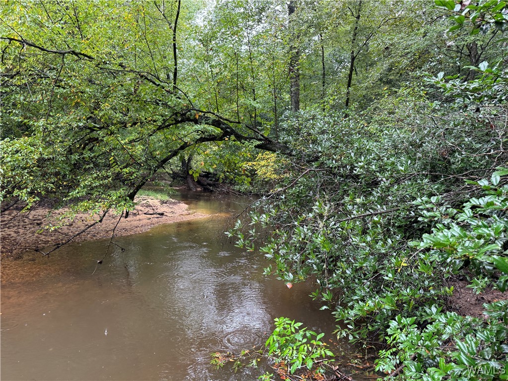 0 Scruggs Lane