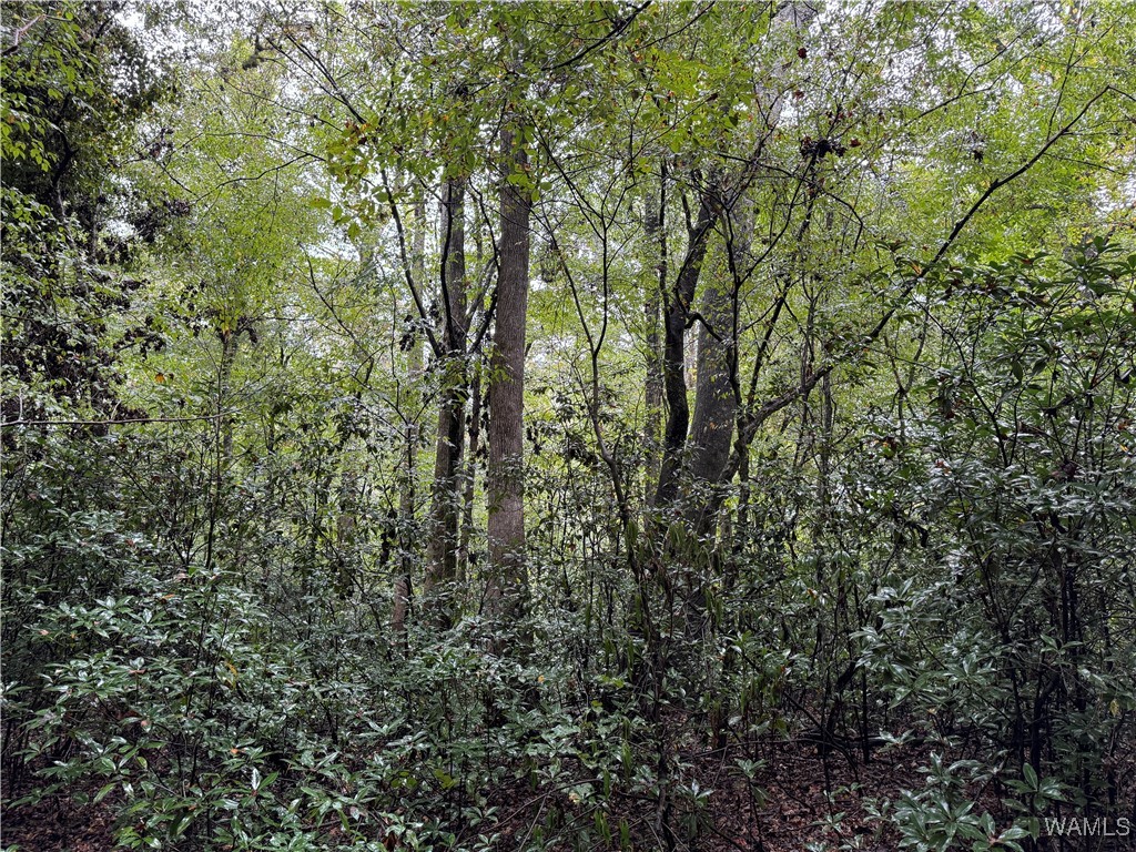 0 Scruggs Lane