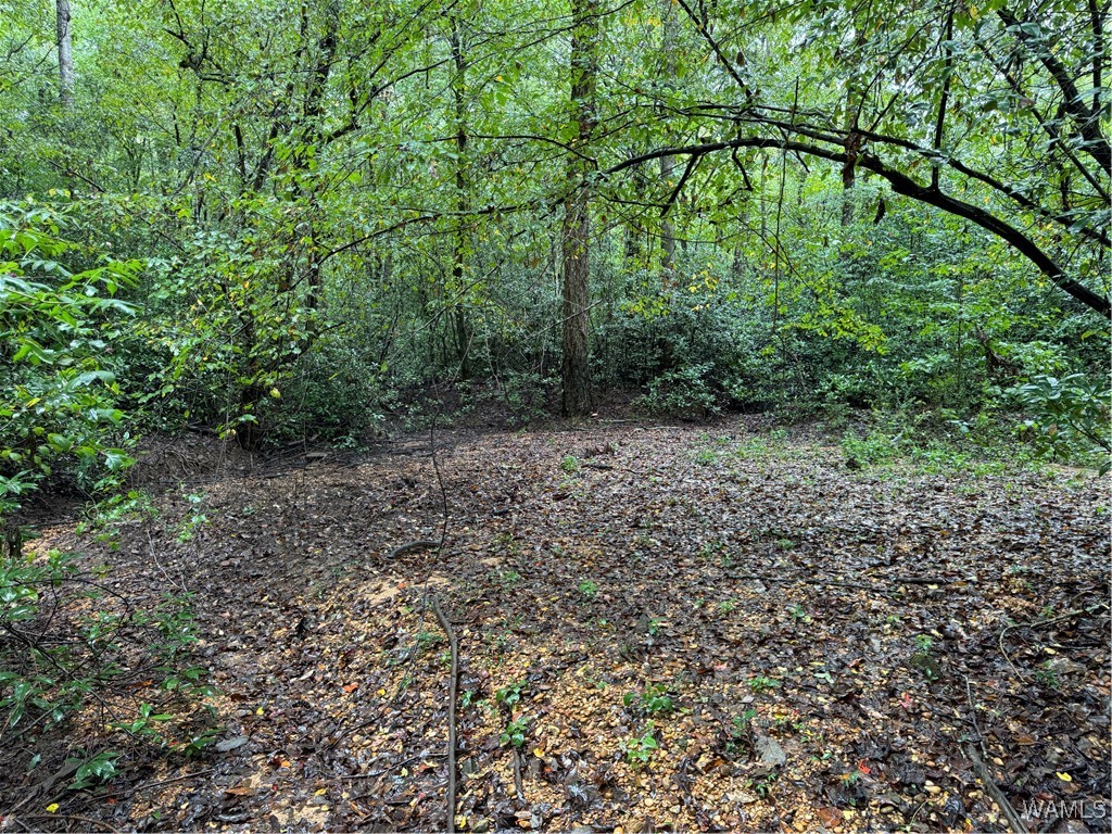 0 Scruggs Lane