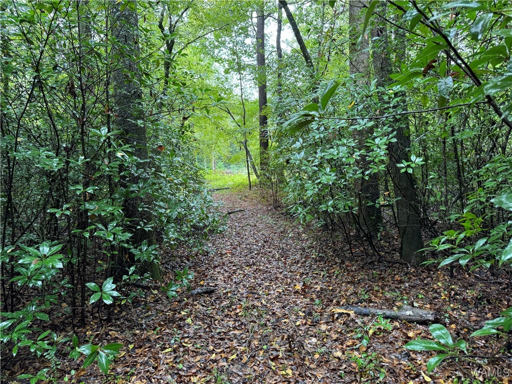 0 Scruggs Lane