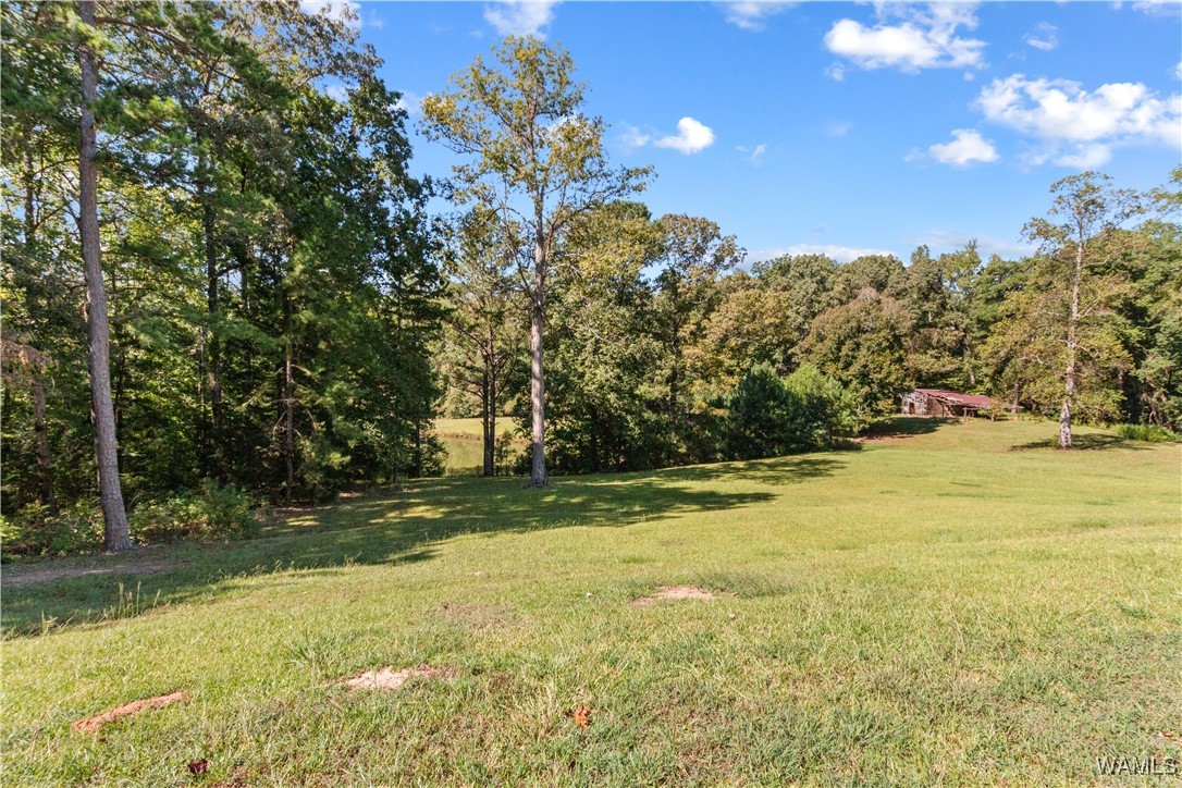 14036 Highway 171