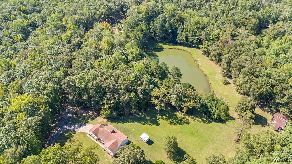 14036 Highway 171