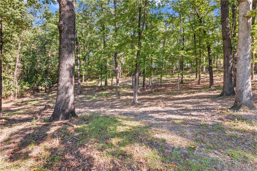 14036 Highway 171