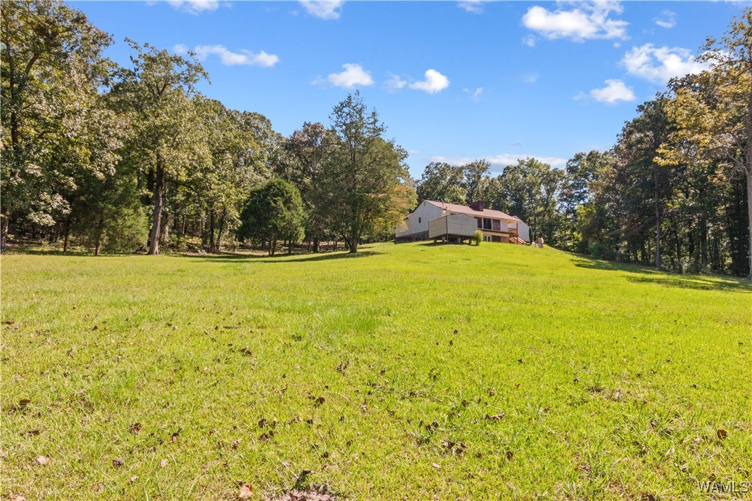14036 Highway 171