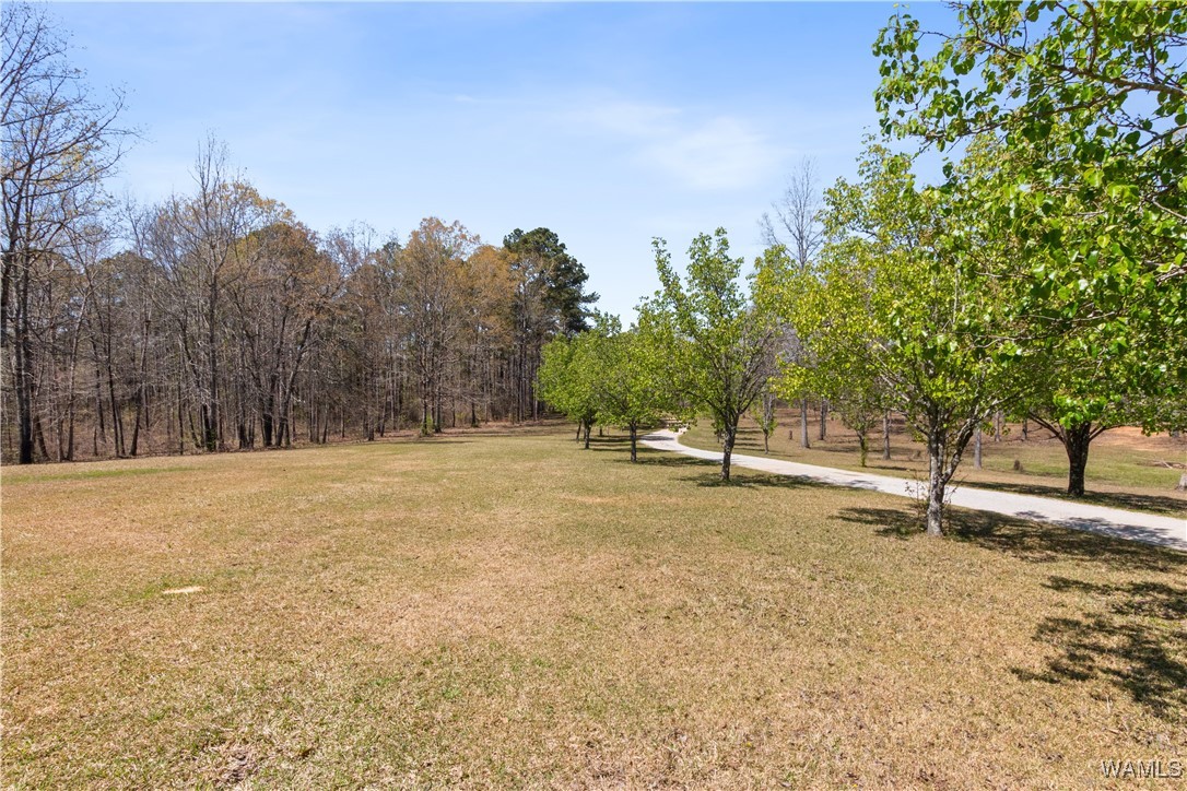 2484 Ridgecrest Road