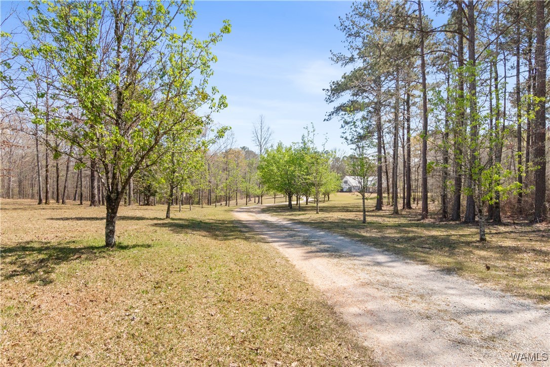 2484 Ridgecrest Road