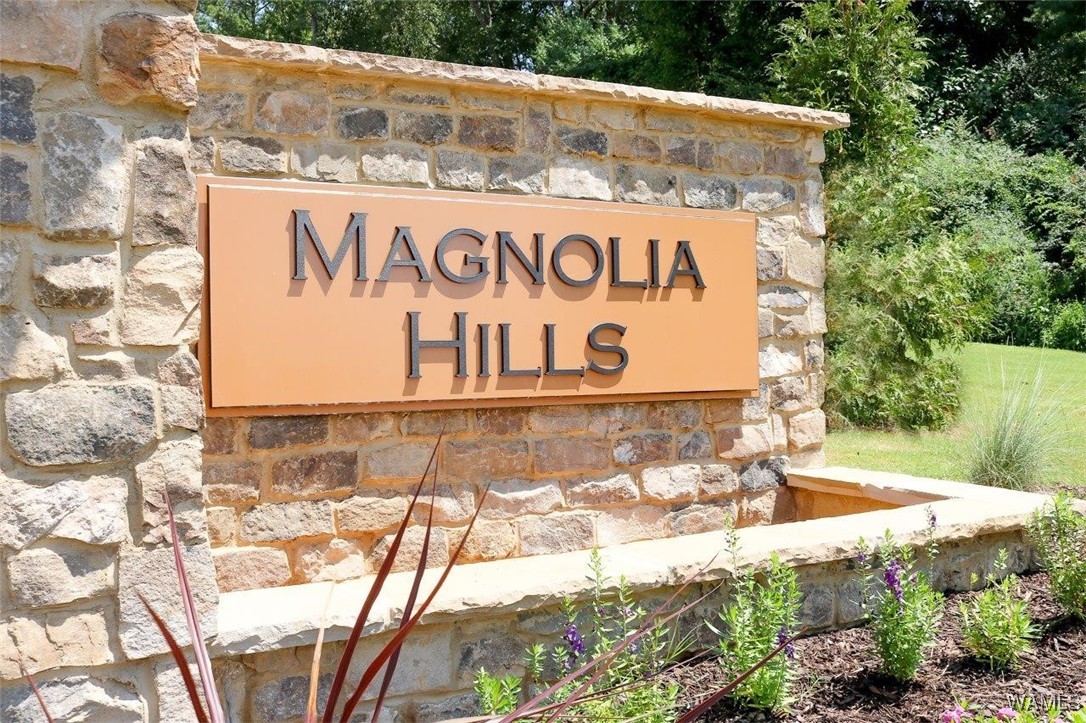 3908 Magnolia Hills Drive