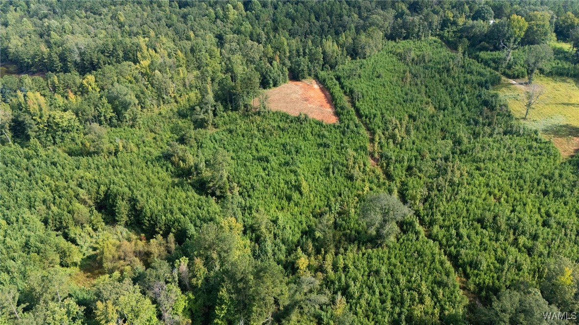 00 COUNTY RD 51