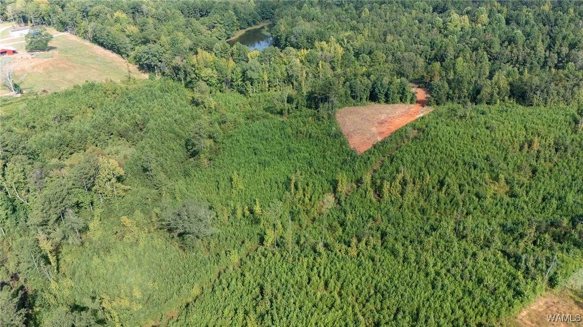 00 COUNTY RD 51