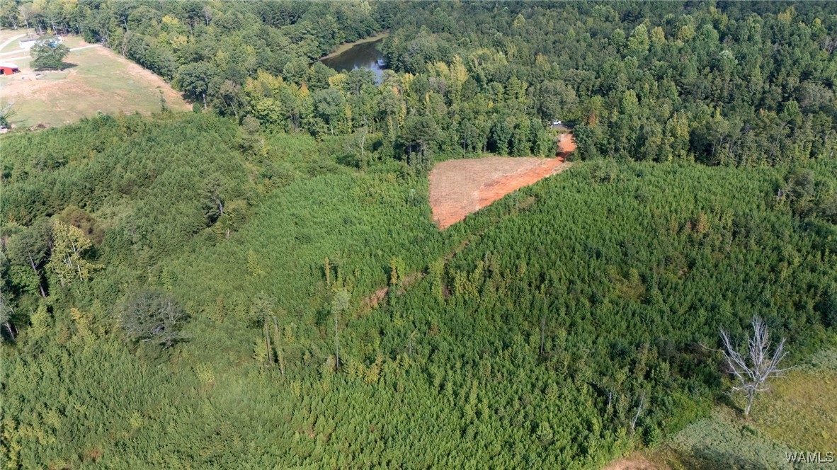 00 COUNTY RD 51
