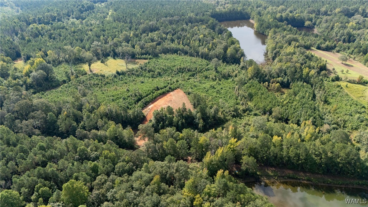 00 COUNTY RD 51