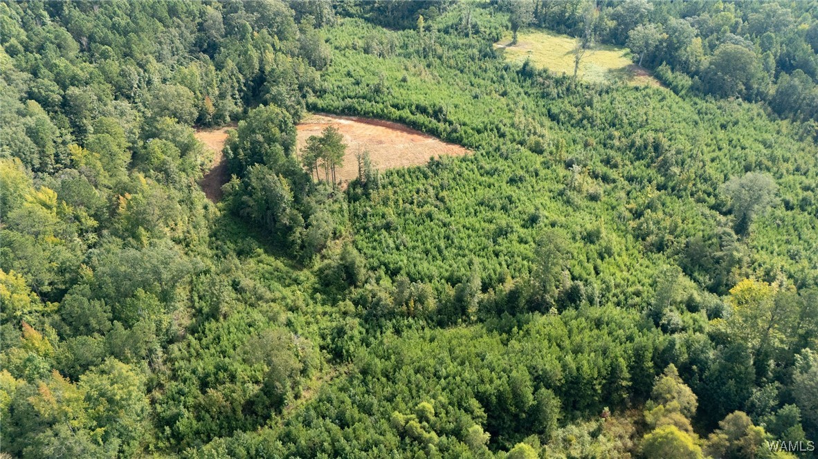 00 COUNTY RD 51
