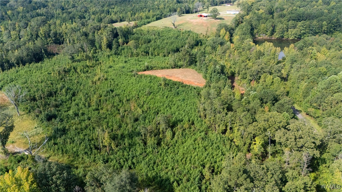 00 COUNTY RD 51