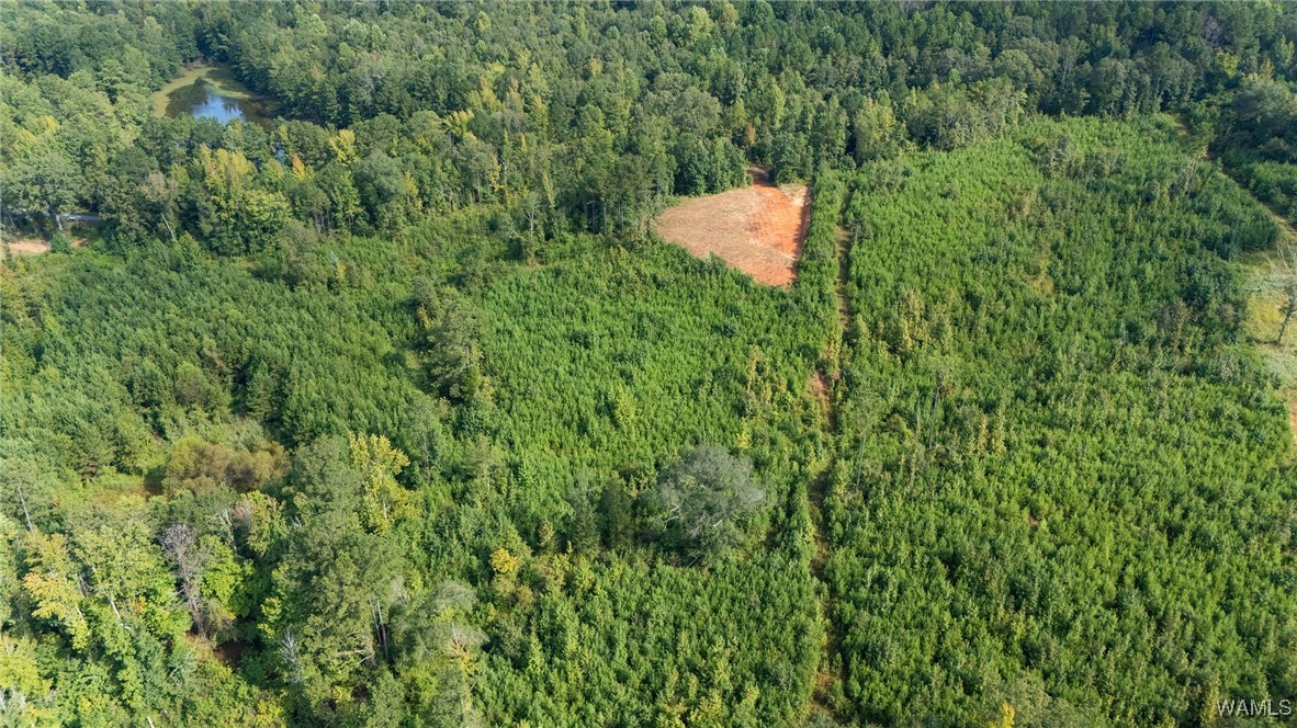 00 COUNTY RD 51