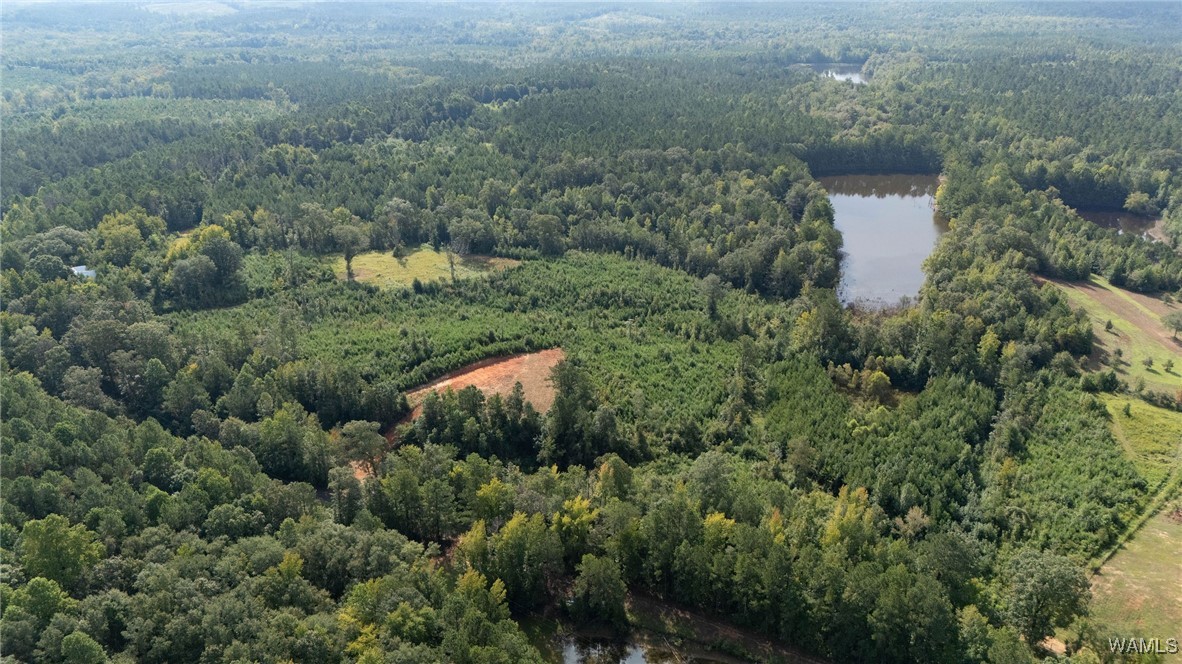 00 COUNTY RD 51