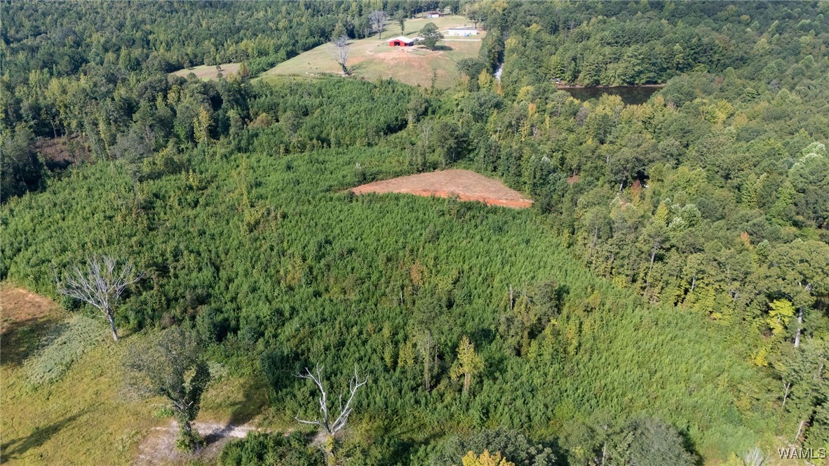 00 COUNTY RD 51