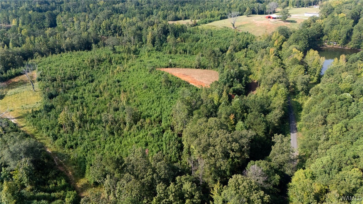 00 COUNTY RD 51