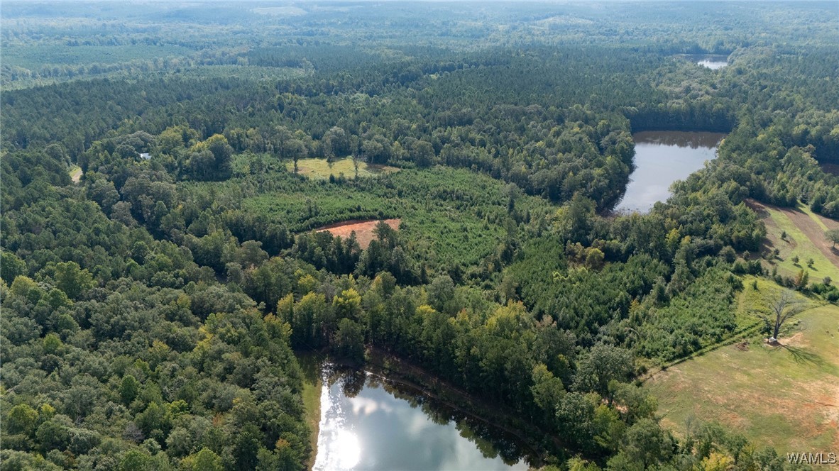 00 COUNTY RD 51
