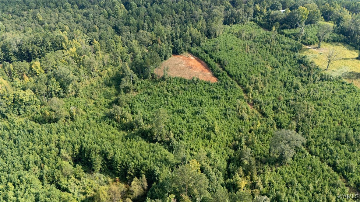 00 COUNTY RD 51