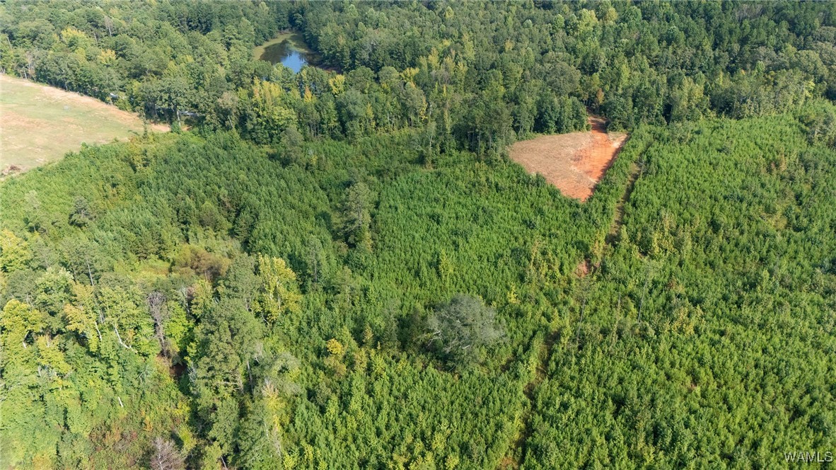 00 COUNTY RD 51