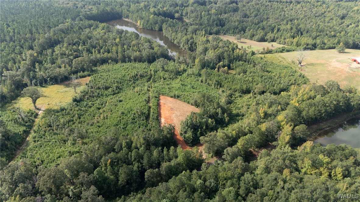 00 COUNTY RD 51