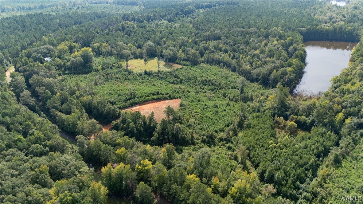 00 COUNTY RD 51