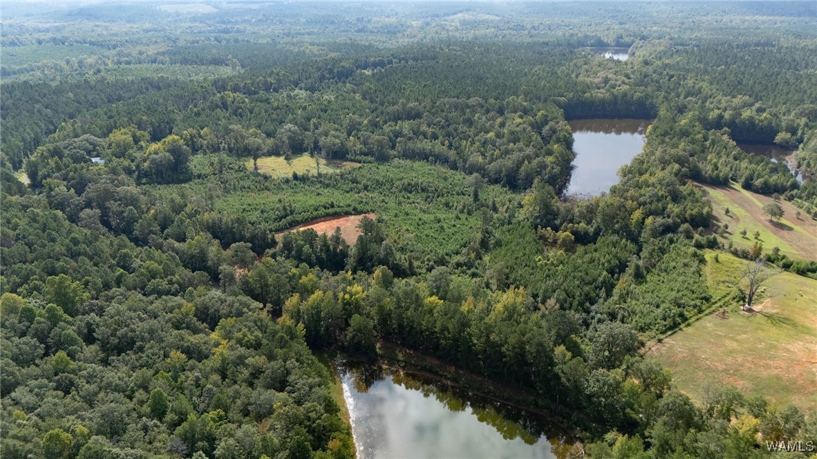 00 COUNTY RD 51