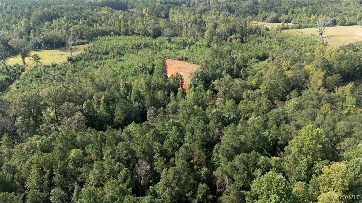 00 COUNTY RD 51