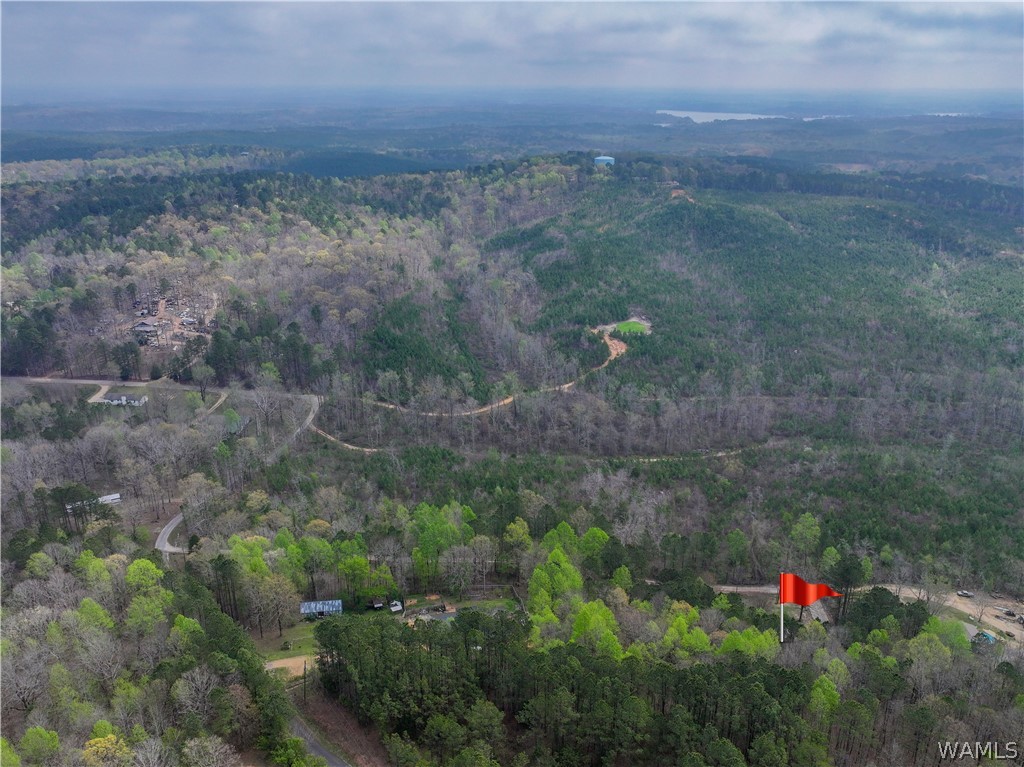 13410 Rocky Ridge Drive