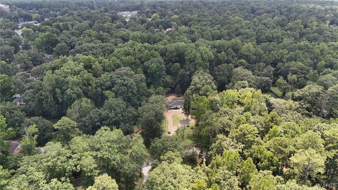 33 Beech Hills
