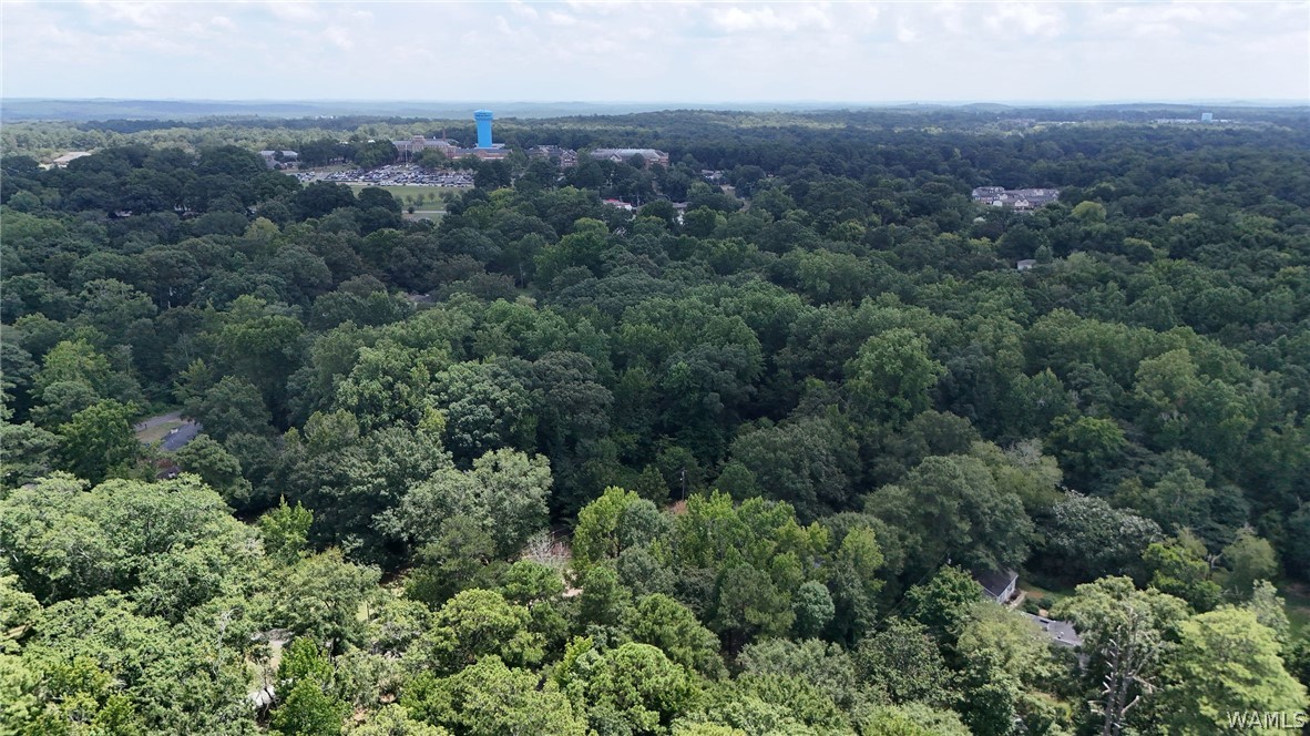 33 Beech Hills