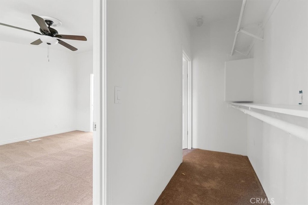 4173 Quarterhorse Way