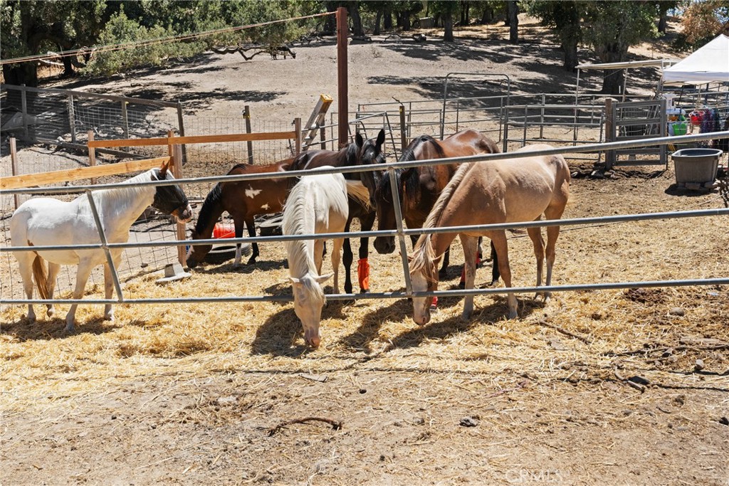 8505 Santa Lucia Road