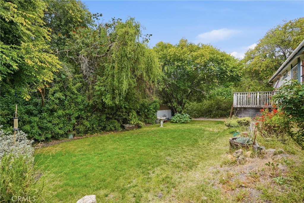 241 Sweet Springs Lane 5