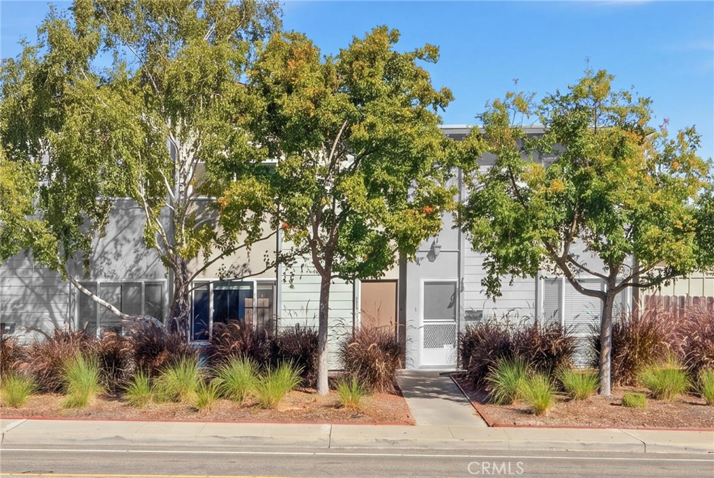 1163 Laurel Lane 39