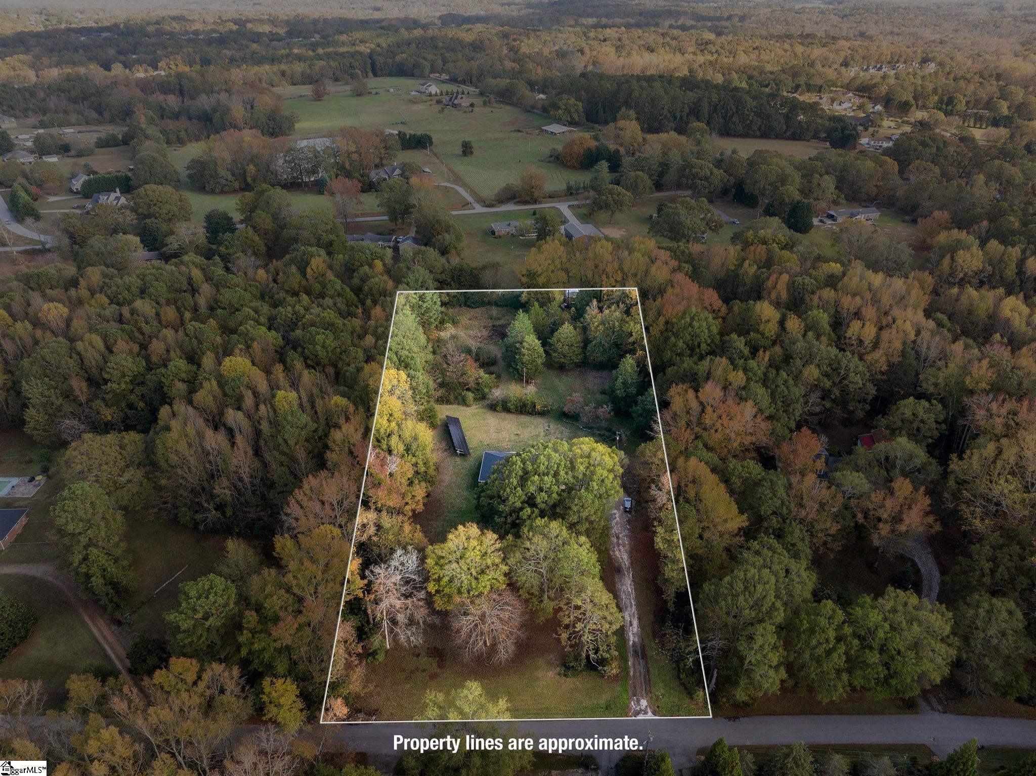 339 Spring Forest Drive