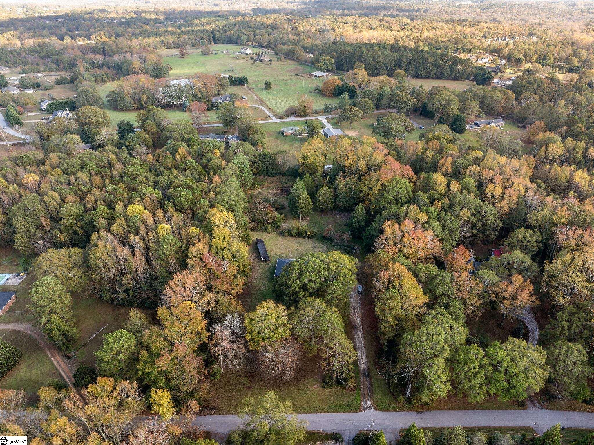 339 Spring Forest Drive