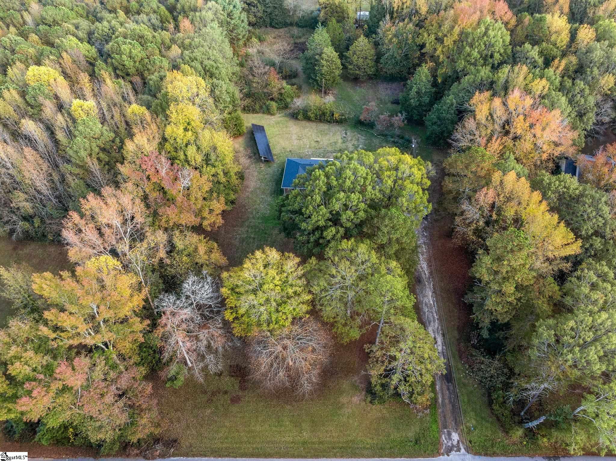 339 Spring Forest Drive