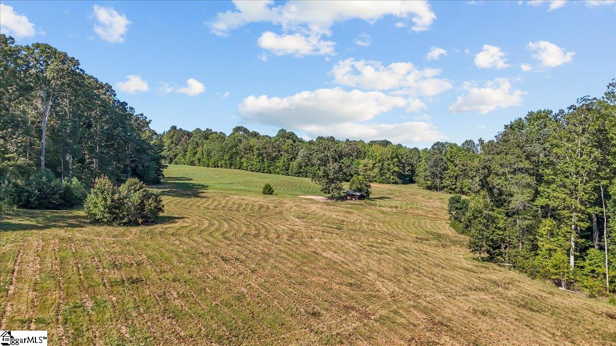 1443 Henderson Road Gray Court SC