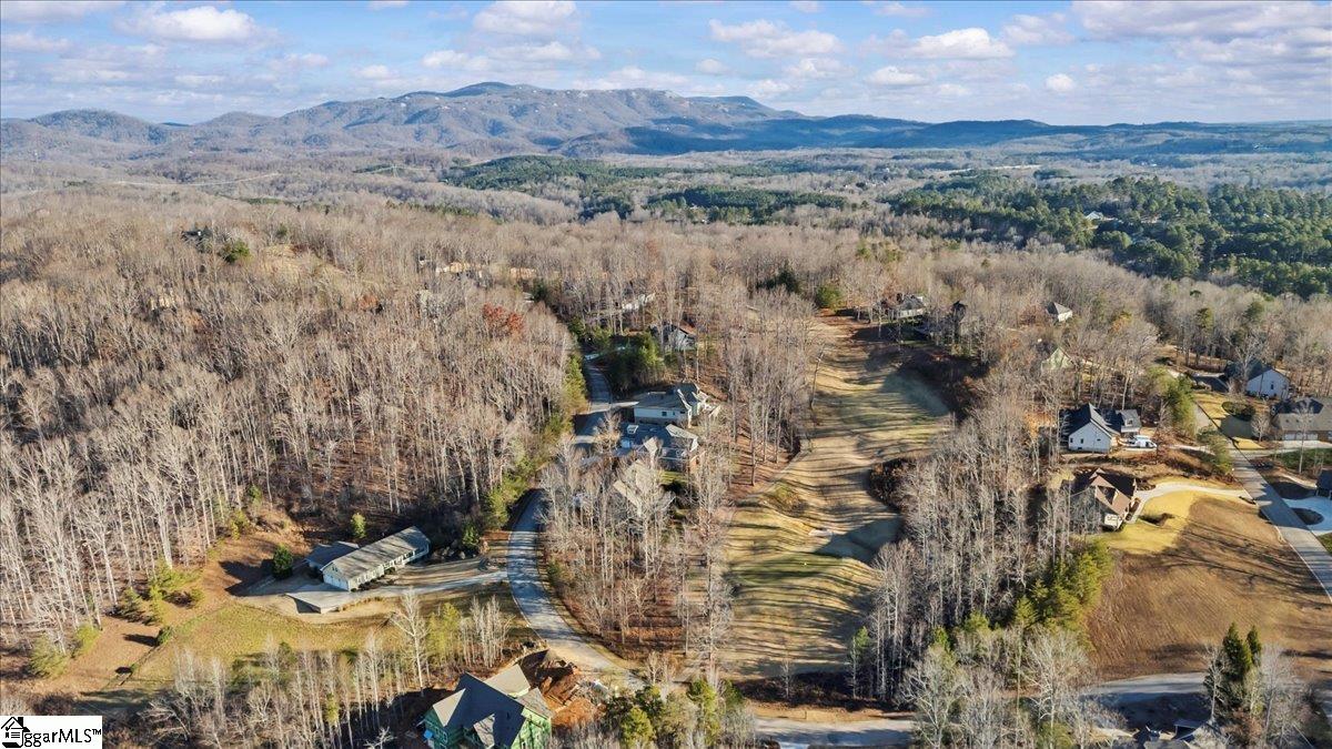 39 Timberline Drive