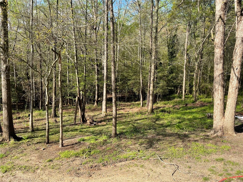 779 Griffin Road